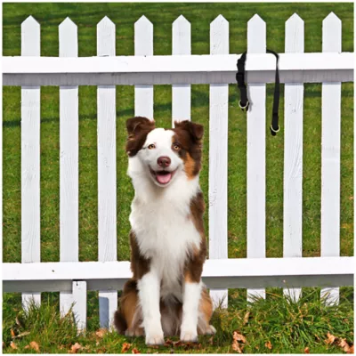 Product PetSafe® KeepSafe Break-Away Collar - 3/4 in to 1 in Wide - Black - Adjustable Sizes