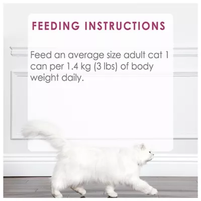 Product Fancy Feast Grilled Wet Cat Food