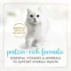 Product Fancy Feast®  All Life Stages Cat Wet Food - Grilled, 3 OZ