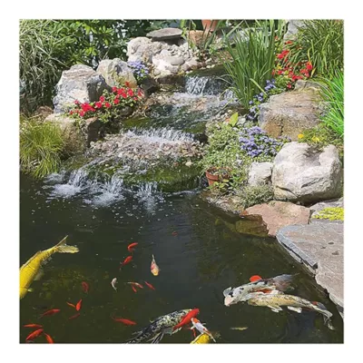 Product Tetra® TetraPond Koi Growth Fish Food
