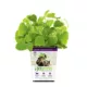 Product Pet Greens Catnip Live Cat Grass