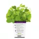 Product Pet Greens Catnip Live Cat Grass