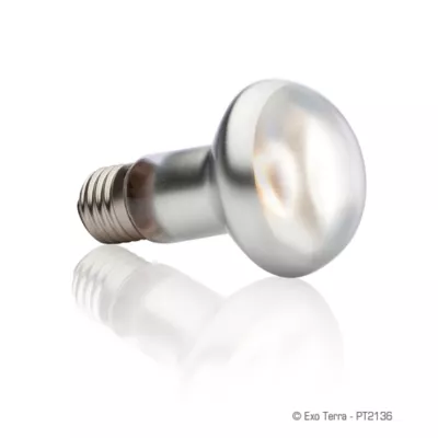 Product Exo Terra® Intense Basking Spot Light