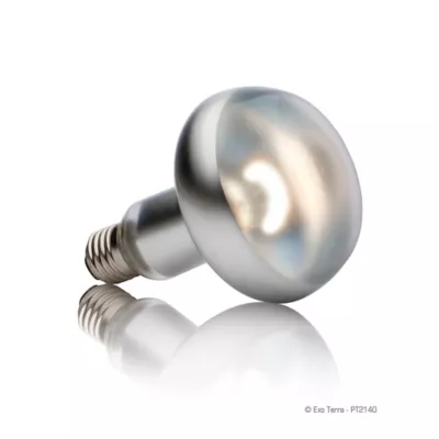 Product Exo Terra® Intense Basking Spot Light