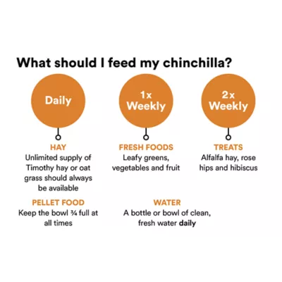 Product Chinchilla