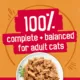 Product Friskies® Adult Cat Wet Food - 5.5 oz., Real Meat, High-Protein