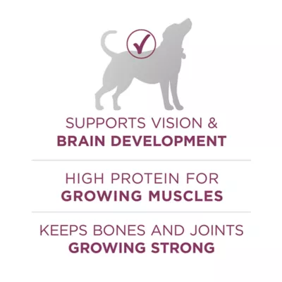 Product Purina ONE® +Plus Puppy Dog Dry Food - Chicken, Natural, High-Protein