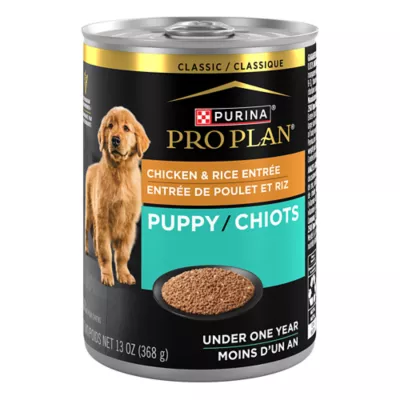 Product Purina Pro Plan Development Puppy Wet Dog Food - Chicken & Rice, 13 oz