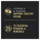 Product Purina® Pro Plan Complete Essentials Adult Wet Cat Food - In Gravy, 3 Oz