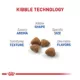 Product Royal Canin Feline Health Indoor Adult Dry Cat Food Nutrition