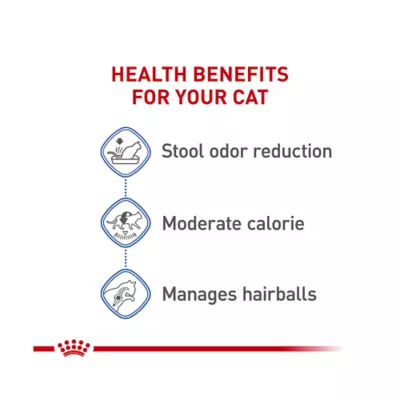Product Royal Canin Feline Health Indoor Adult Dry Cat Food Nutrition