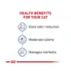 Product Royal Canin Feline Health Indoor Adult Dry Cat Food Nutrition