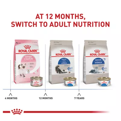 Product Royal Canin Feline Health Indoor Adult Dry Cat Food Nutrition