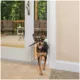 Product PetSafe® 1-Piece Sliding Glass Pet Door - Adjustable Height 91 7/16" to 96" - White
