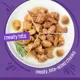 Product Friskies® Adult Cat Wet Food - Variety Pack, 24 Ct, 132 OZ