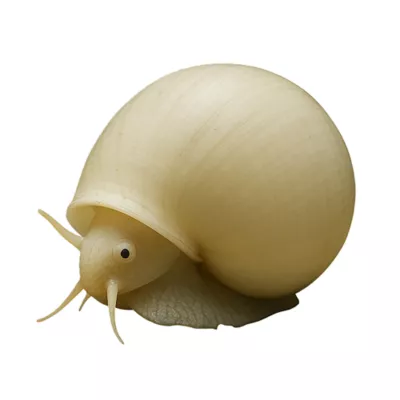 Product Ivory Mystery Snail
