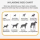 Product Nylabone® DuraChew® Double Action Chew Dog Toy