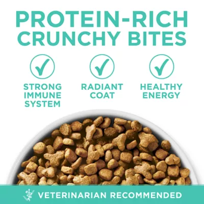 Product Purina® ONE® +Plus Sensitive Skin & Sensitive Stomach Adult Cat Dry Food - Turkey
