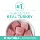 Product Purina® ONE® +Plus Sensitive Skin & Sensitive Stomach Adult Cat Dry Food - Turkey