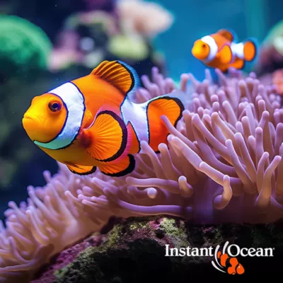 Product Instant Ocean® Sea Salt