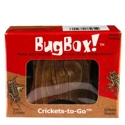 Product BugBox!™ Live Crickets