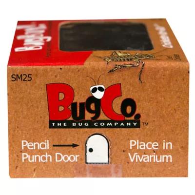 Product BugBox!™ Live Crickets