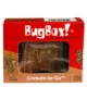 Product BugBox!™ Live Crickets