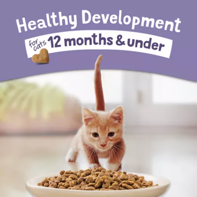 Product Purina® Kitten Chow® Kitten Cat Dry Food - Chicken, Healthy Development