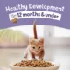 Product Purina® Kitten Chow® Kitten Cat Dry Food - Chicken, Healthy Development