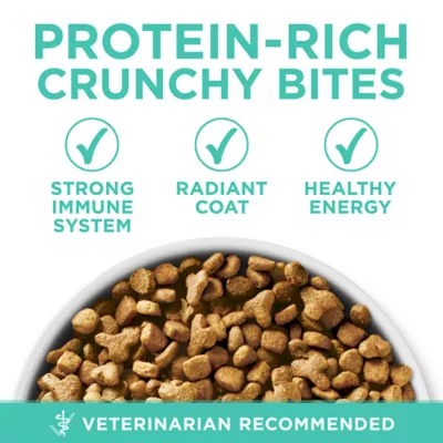 Product Purina® ONE® +Plus Sensitive Skin & Sensitive Stomach Adult Cat Dry Food - Turkey