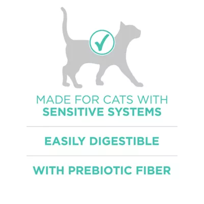 Product Purina® ONE® +Plus Sensitive Skin & Sensitive Stomach Adult Cat Dry Food - Turkey