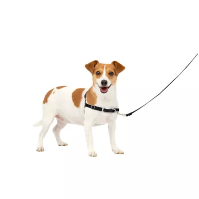 Product PetSafe® Easy Walk Harness, No Pull Dog Harness