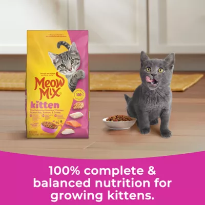 Product Meow Mix Kitten Li'l Nibbles Dry Cat Food - Chicken, Turkey, Salmon, Ocean Fish