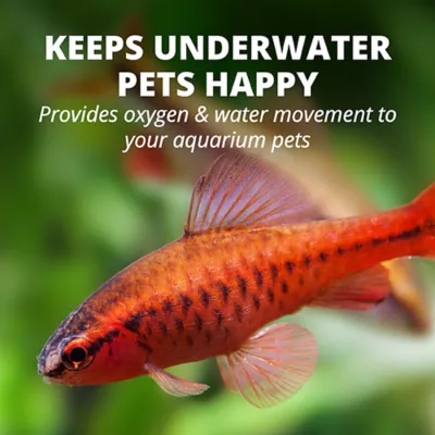 Product Tetra® Whisper Aquarium Air Pump
