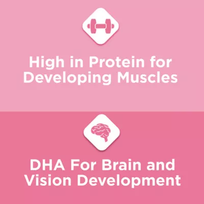 Product Purina® Kitten Chow® Kitten Food