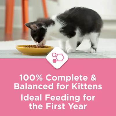 Product Purina® Kitten Chow® Kitten Food