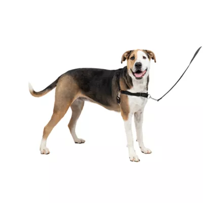Product PetSafe® Easy Walk Harness, No Pull Dog Harness
