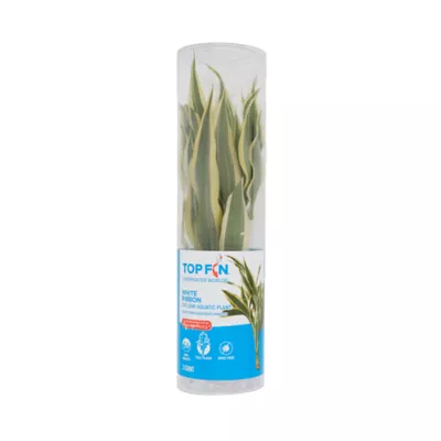 Product Top Fin® White Ribbon Live Plant