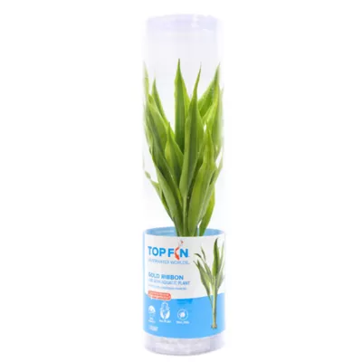 Product Top Fin® Gold Ribbon Semi-Aquatic Live Plant