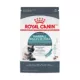Product Royal Canin® Feline Care Nutrition Hairball Care Adult Dry Cat Food