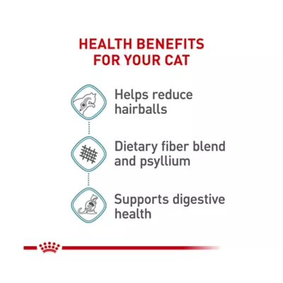 Product Royal Canin® Feline Care Nutrition Hairball Care Adult Dry Cat Food