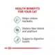 Product Royal Canin® Feline Care Nutrition Hairball Care Adult Dry Cat Food