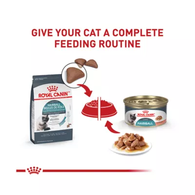 Product Royal Canin® Feline Care Nutrition Hairball Care Adult Dry Cat Food