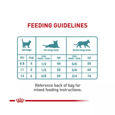 Product Royal Canin® Feline Care Nutrition Hairball Care Adult Dry Cat Food
