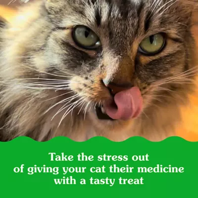 Product Greenies™ Feline Pill Pockets Cat Treats - Chicken