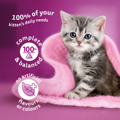 Product Whiskas Dry Kitten Food With Chicken For Cats 1-12 Months, High Protein