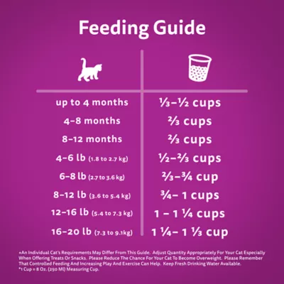 Product Whiskas Dry Kitten Food With Chicken For Cats 1-12 Months, High Protein