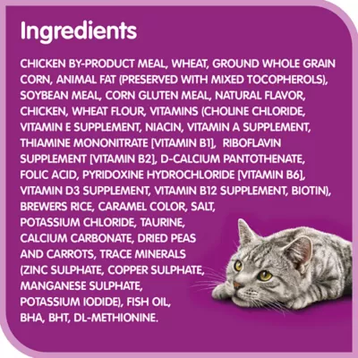 Product Whiskas Dry Kitten Food With Chicken For Cats 1-12 Months, High Protein