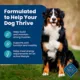 Product Blue Buffalo® Life Protection Formula™ Adult Dry Dog Food - Fish & Brown Rice