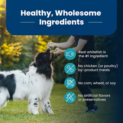 Product Blue Buffalo® Life Protection Formula™ Adult Dry Dog Food - Fish & Brown Rice